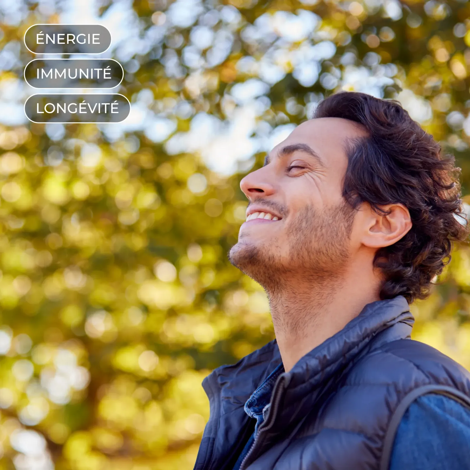 Shilajit, texture et qualité