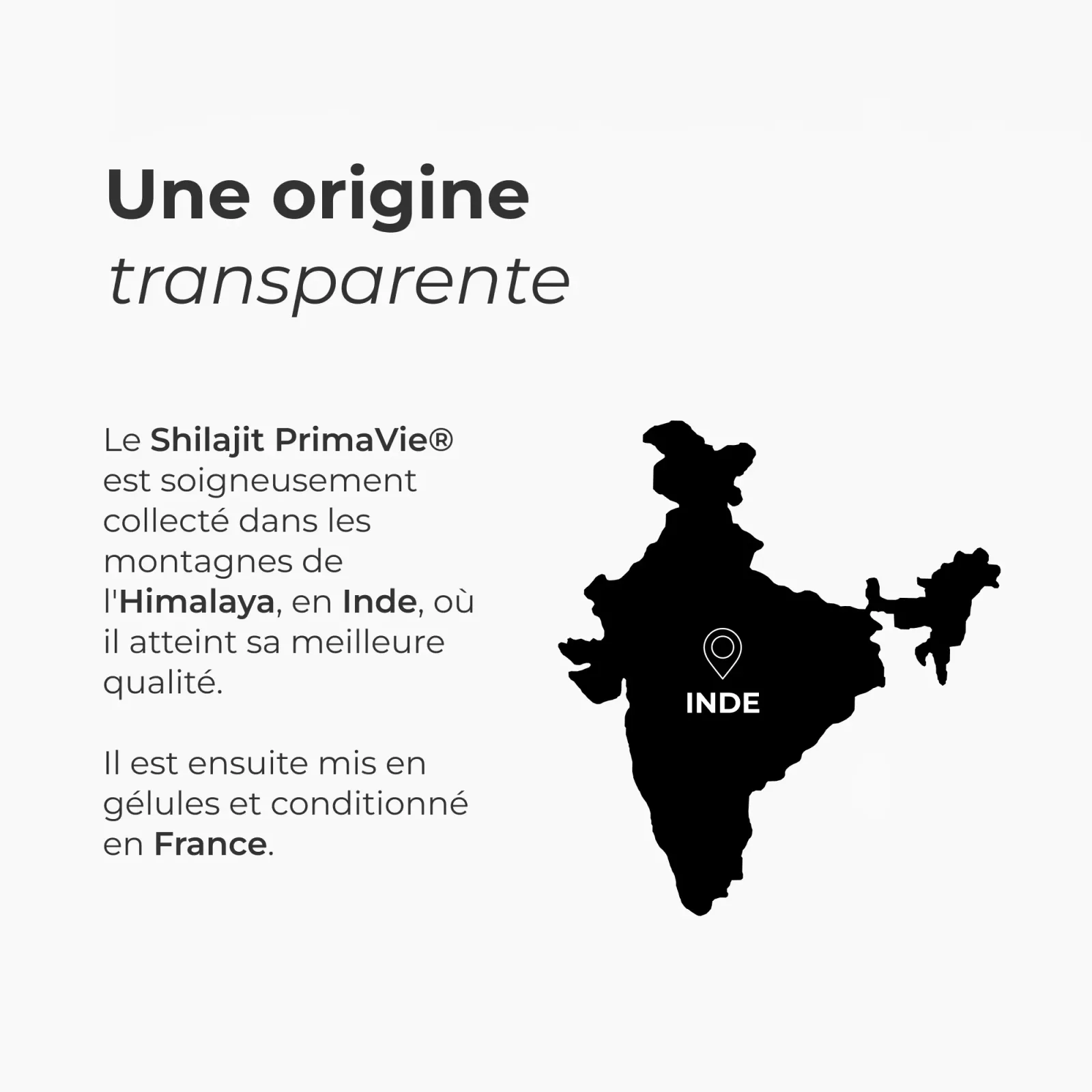 Shilajit, thématiques énergie immunité