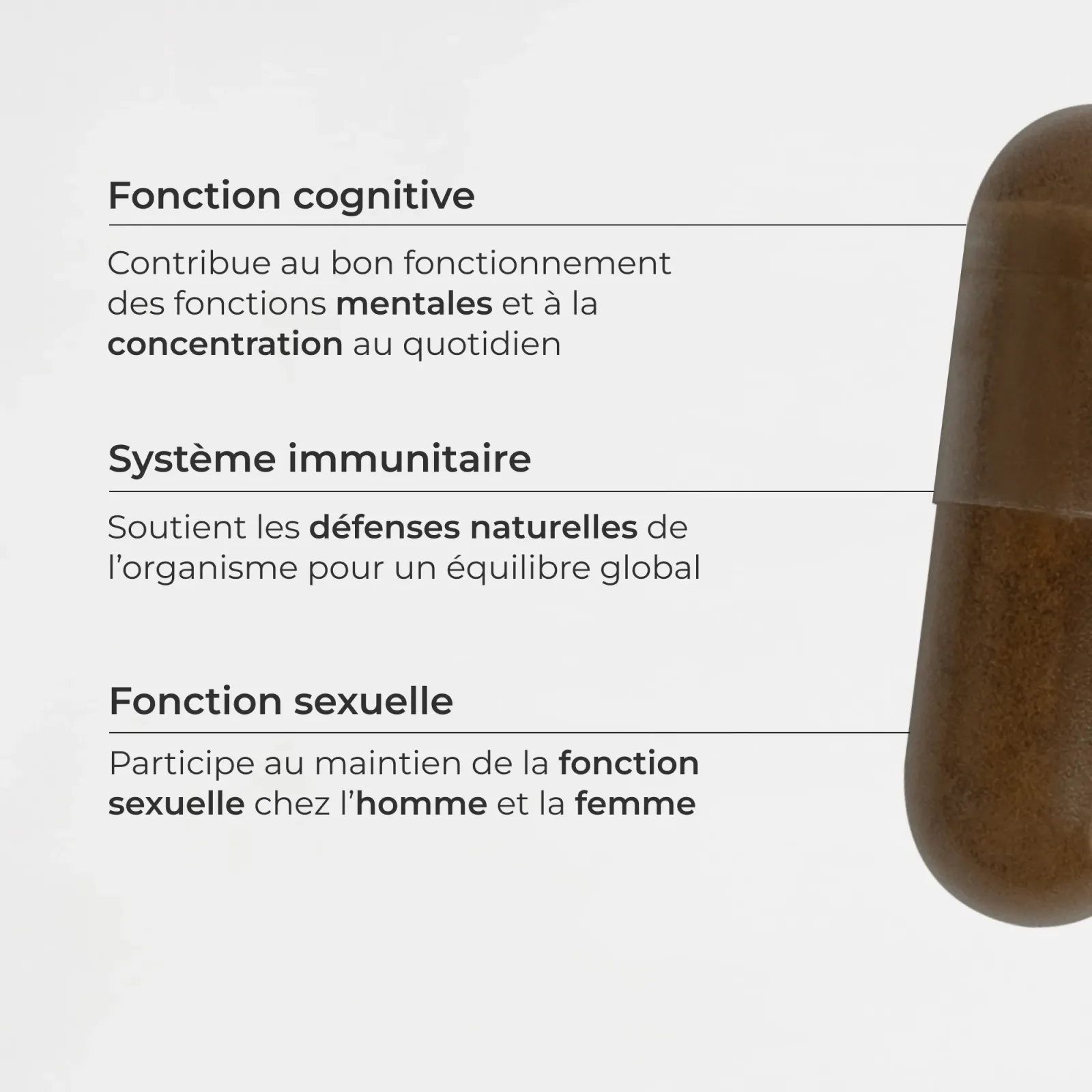 Shilajit, origine Himalaya
