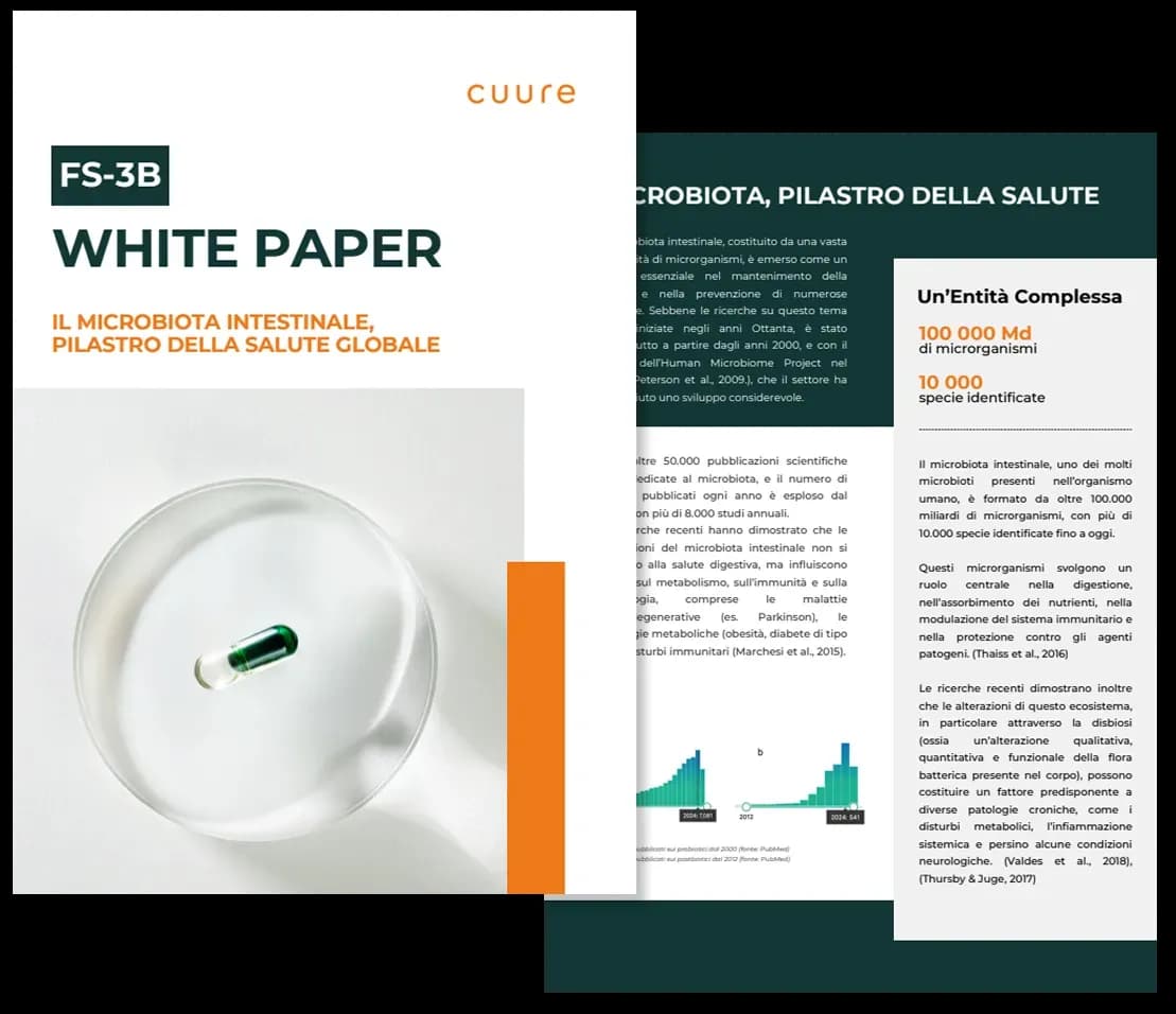 white-paper-fs-3b-it