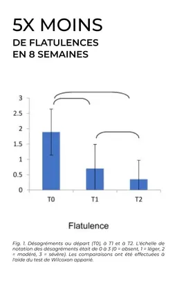 FS-3B Clinical study: gas