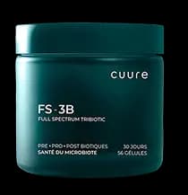 FS-3B
