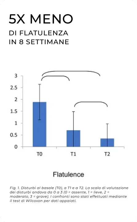 graph-2-fs-3b