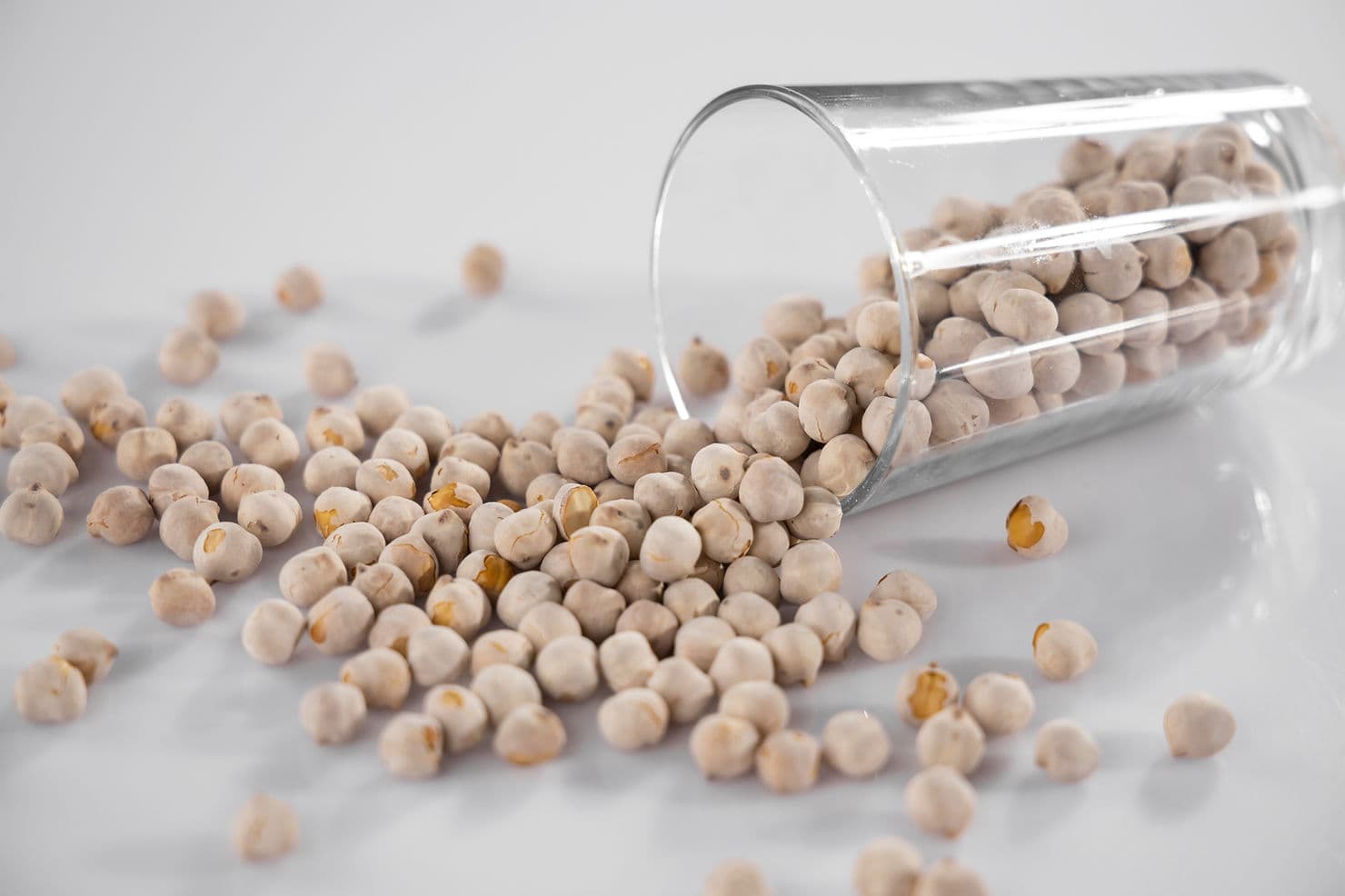Protéines végétales - aliments riches - légumineuses - pos