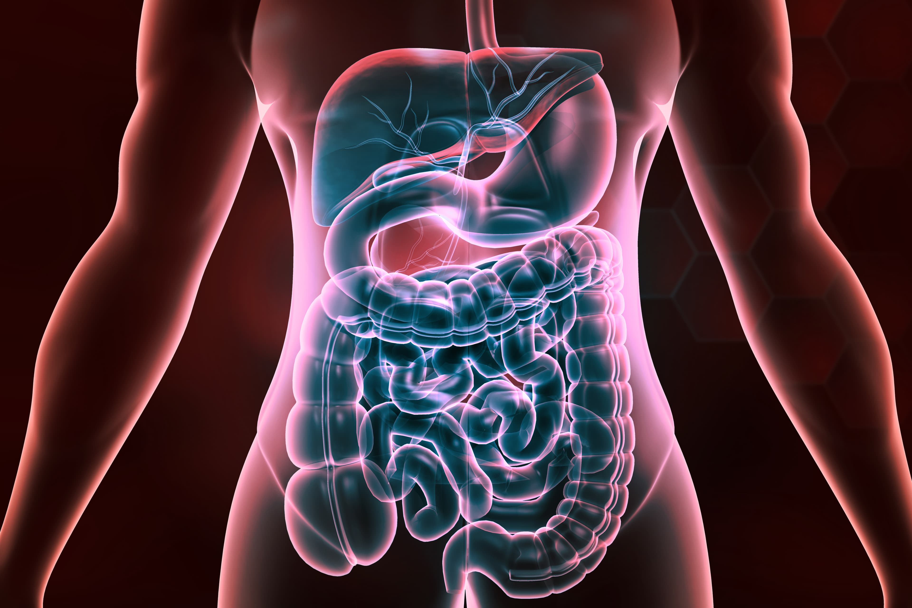 Mauvaise haleine : et si votre microbiote intestinal était en cause ?