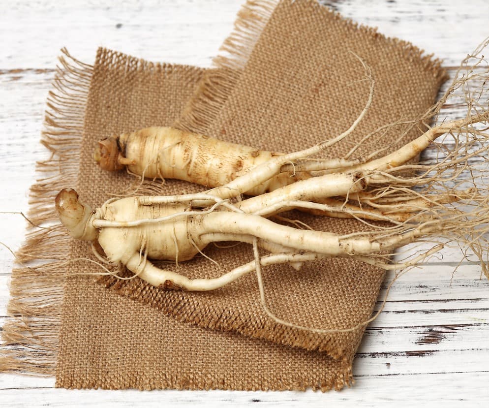 Le Ginseng : et si nous en parlions ?