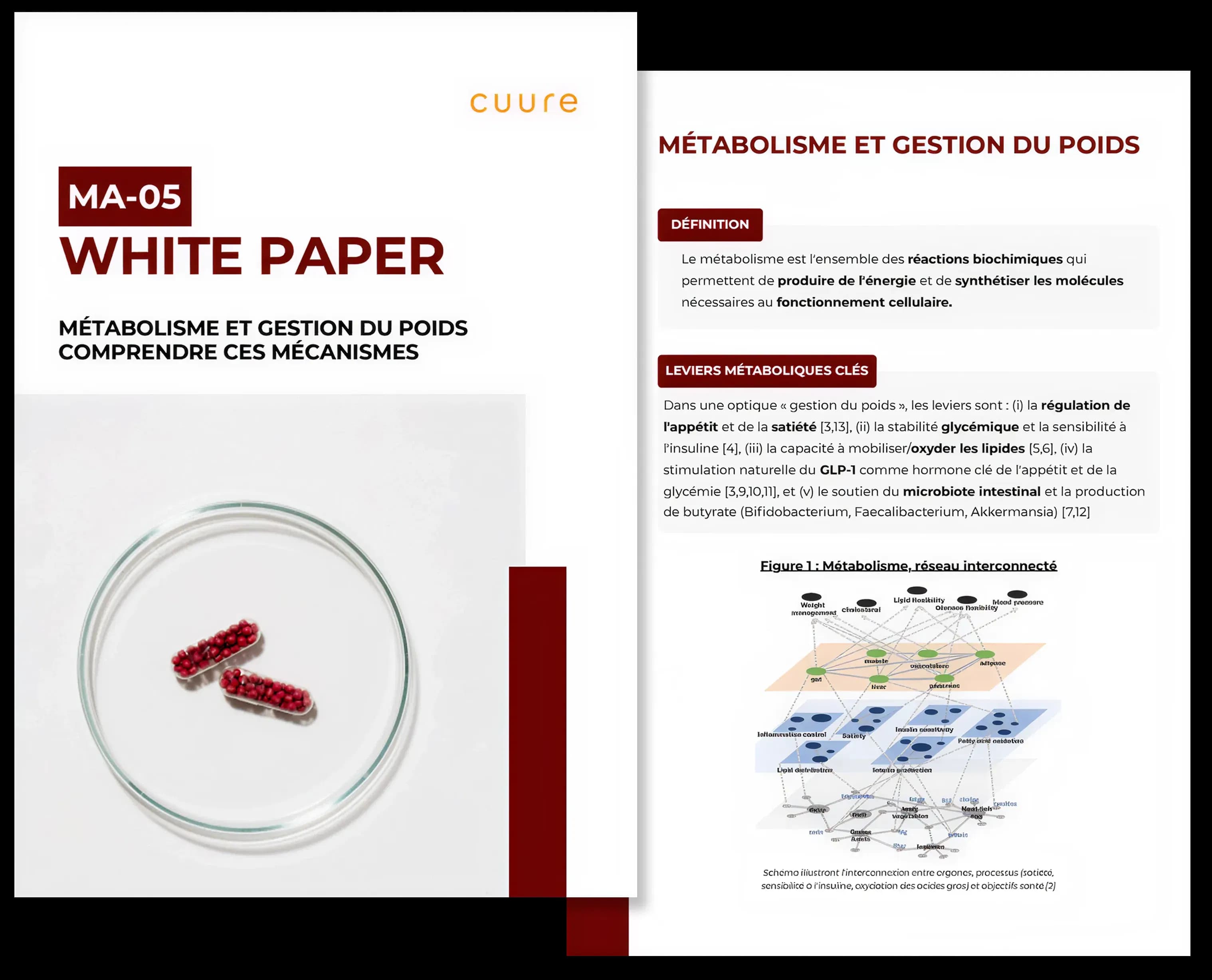 Imagen del white paper de MA-05