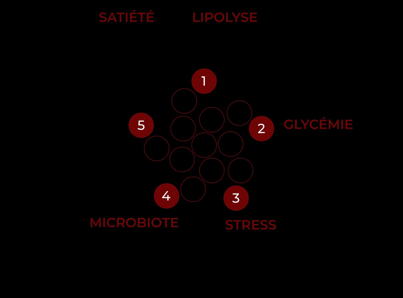 Mecanism_MA05_V6