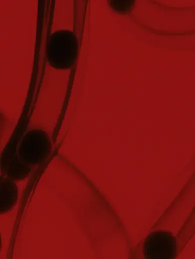 Texture MA-05