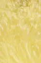 Citron