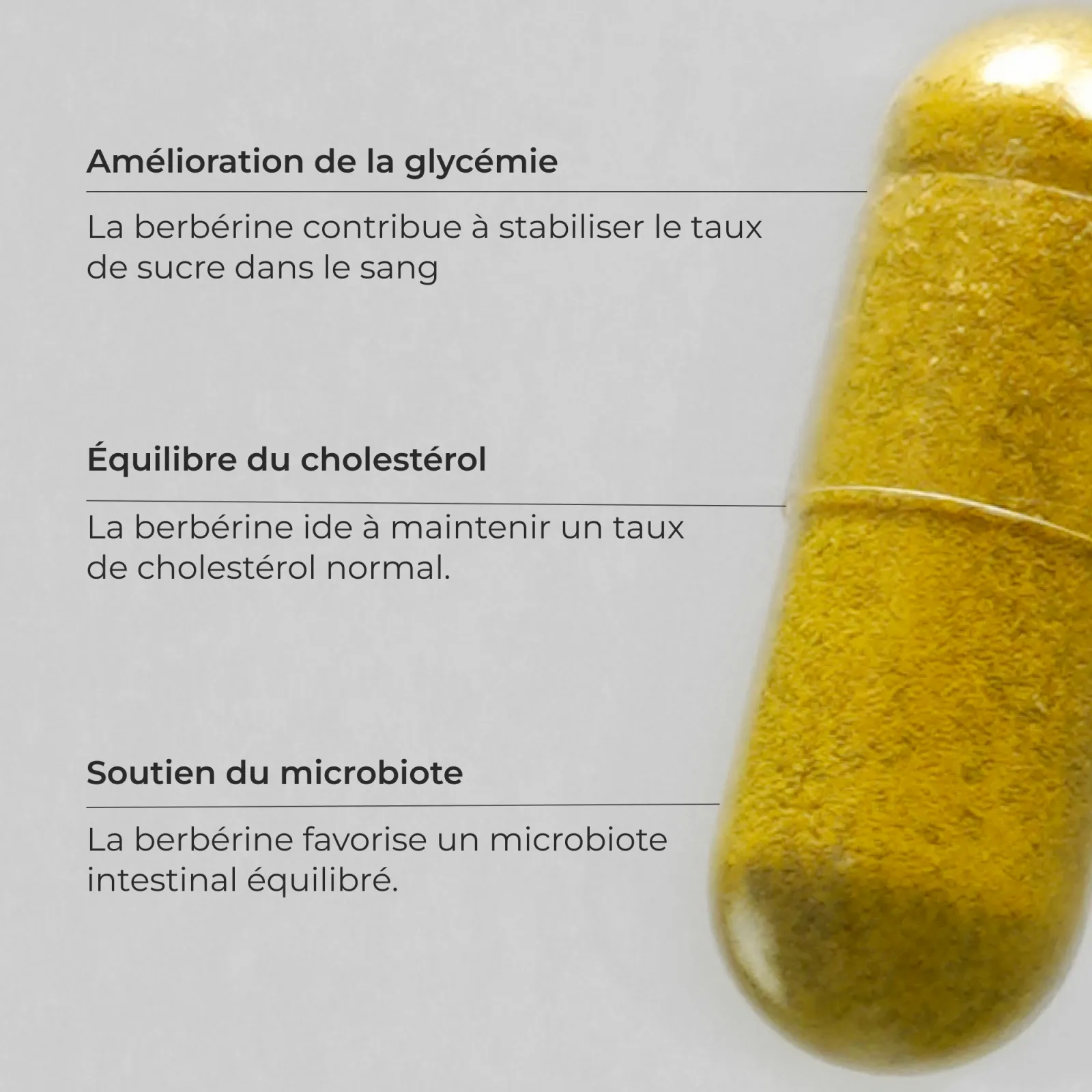 Berbérine #4