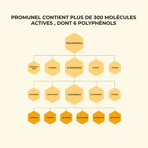 Boost Immunité, composition en polyphénols de la propolis Promunel