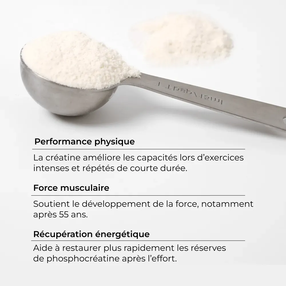 Créatine Creapure® force et puissance