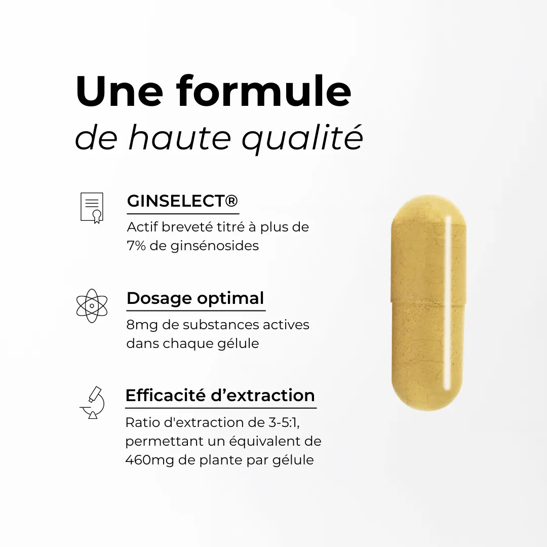 Ginseng Cuure, radice di Panax ginseng