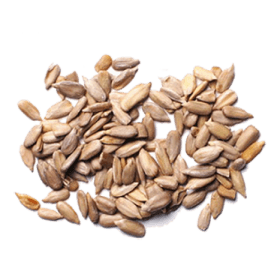 Vitamina B6