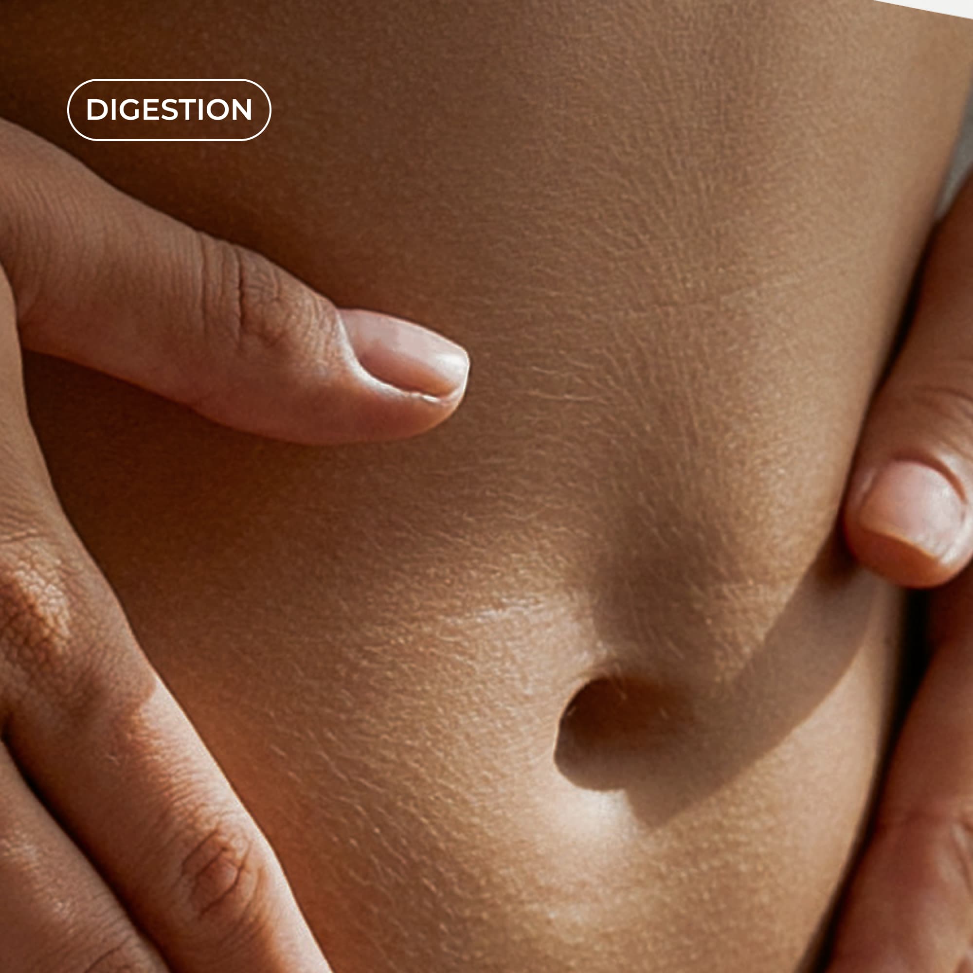 L-Glutamine Cuure en poudre - visuel 2