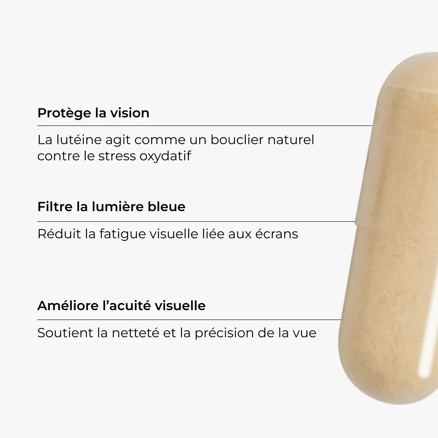 Lutéine #2