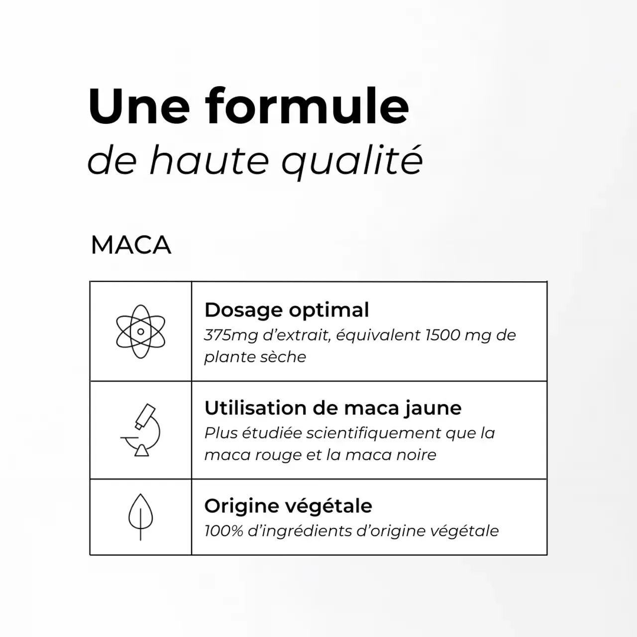 Maca Cuure, presentation MyCuure