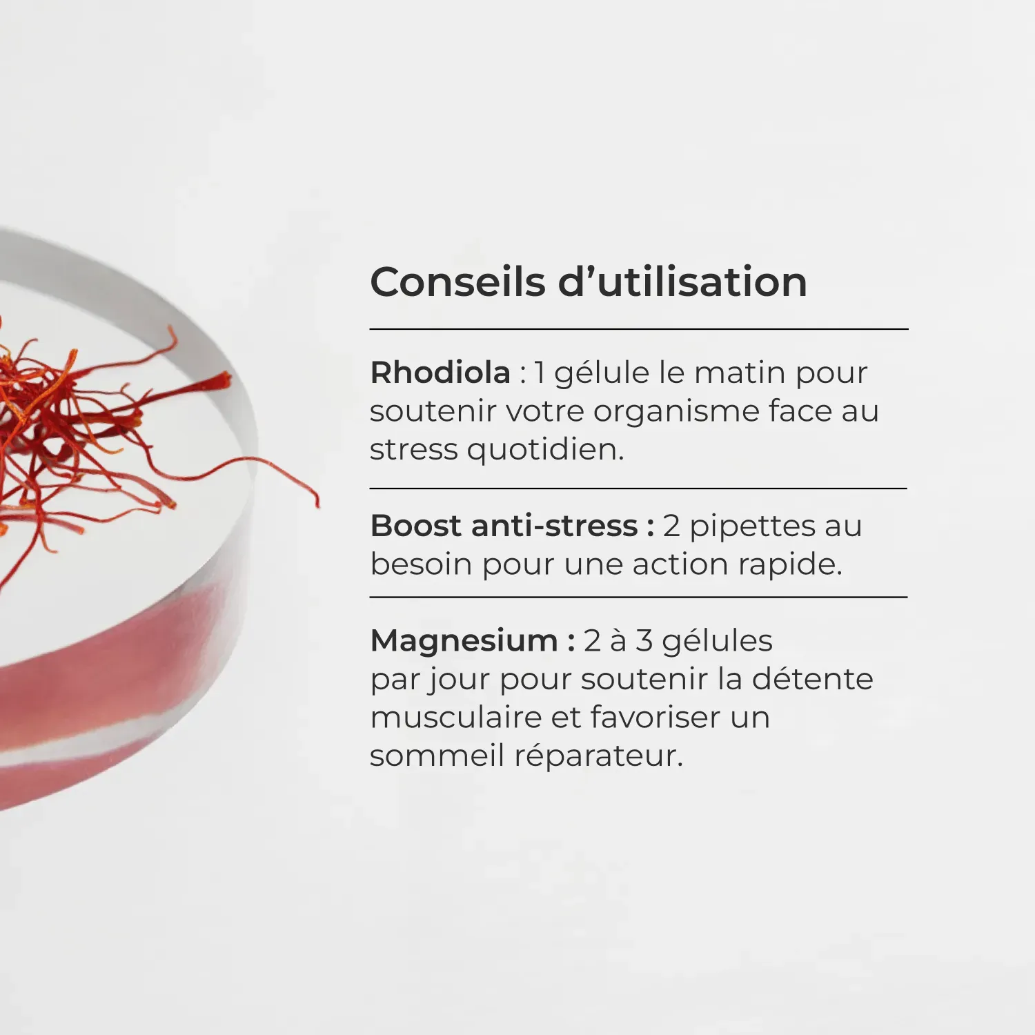 Pack Cortisol #7