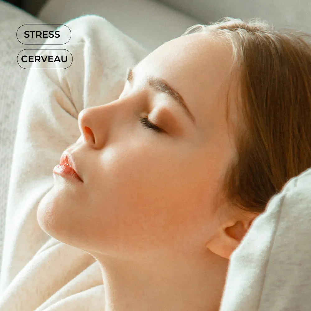 Pack Cortisol #2