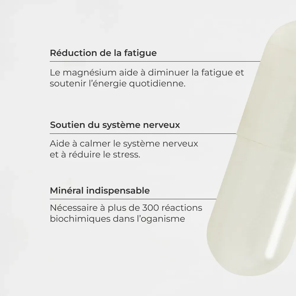 Pack Énergie #6