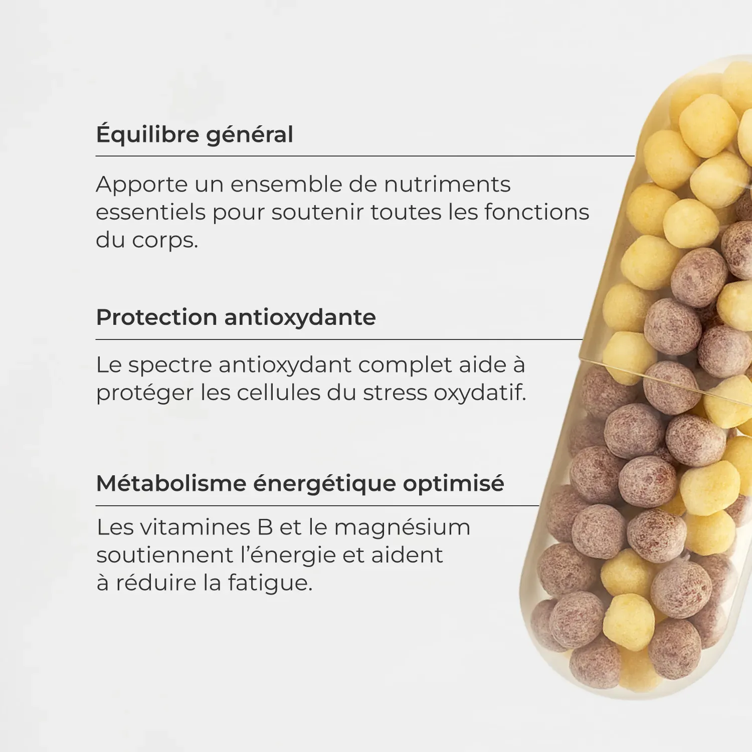 Pack Énergie #5