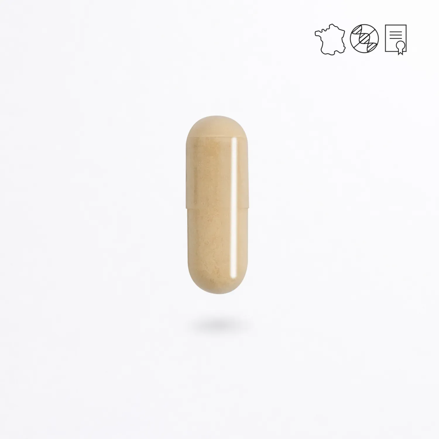 Gélule de Coenzyme Q10 Ubiqsome® Cuure