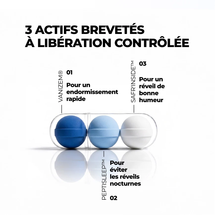 Les 3 actifs brevetés de SR-3C dans leur gélule : Vanizem, PeptiSleep™ et Safr'Inside™