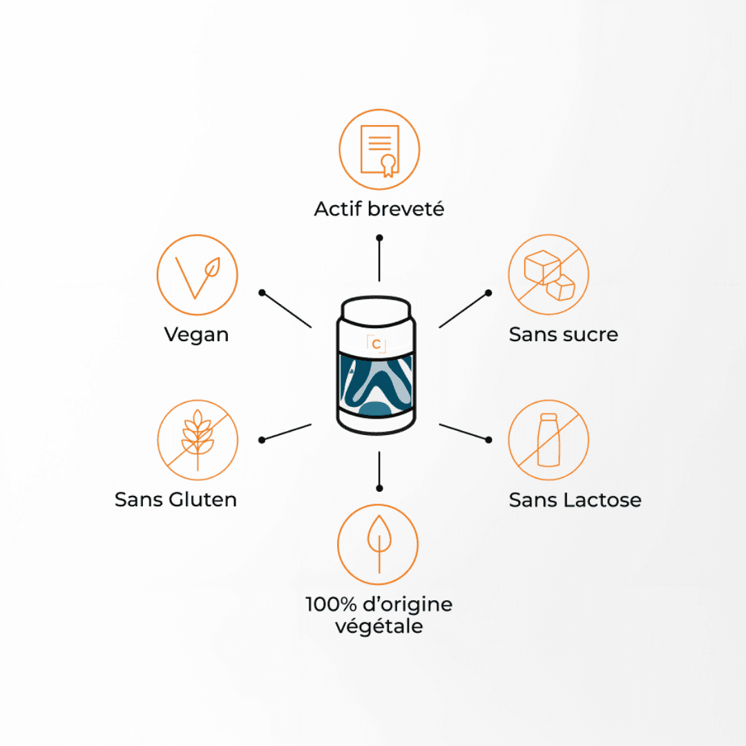 Enzymes Digestives #5