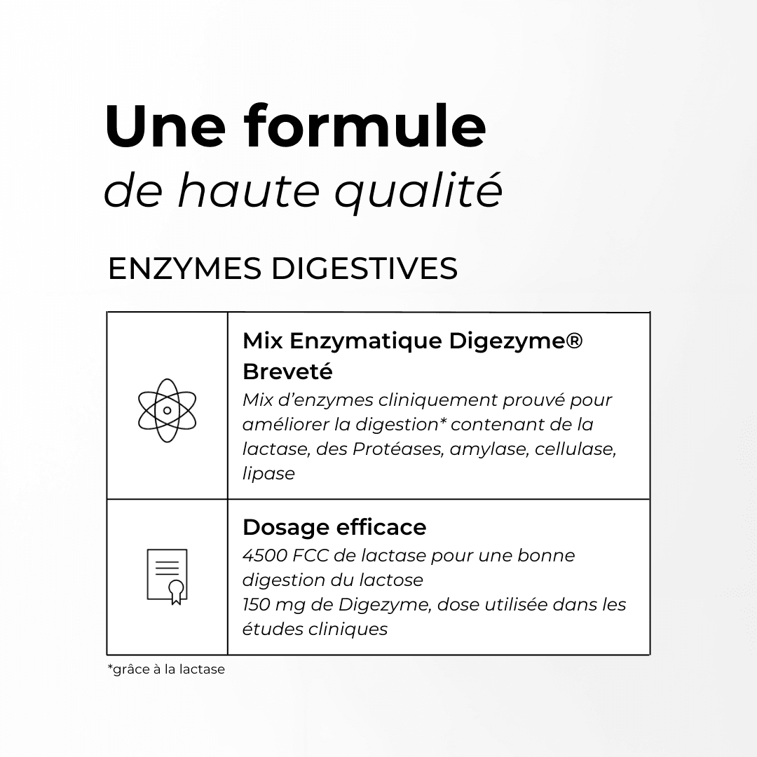 Enzymes Digestives #3