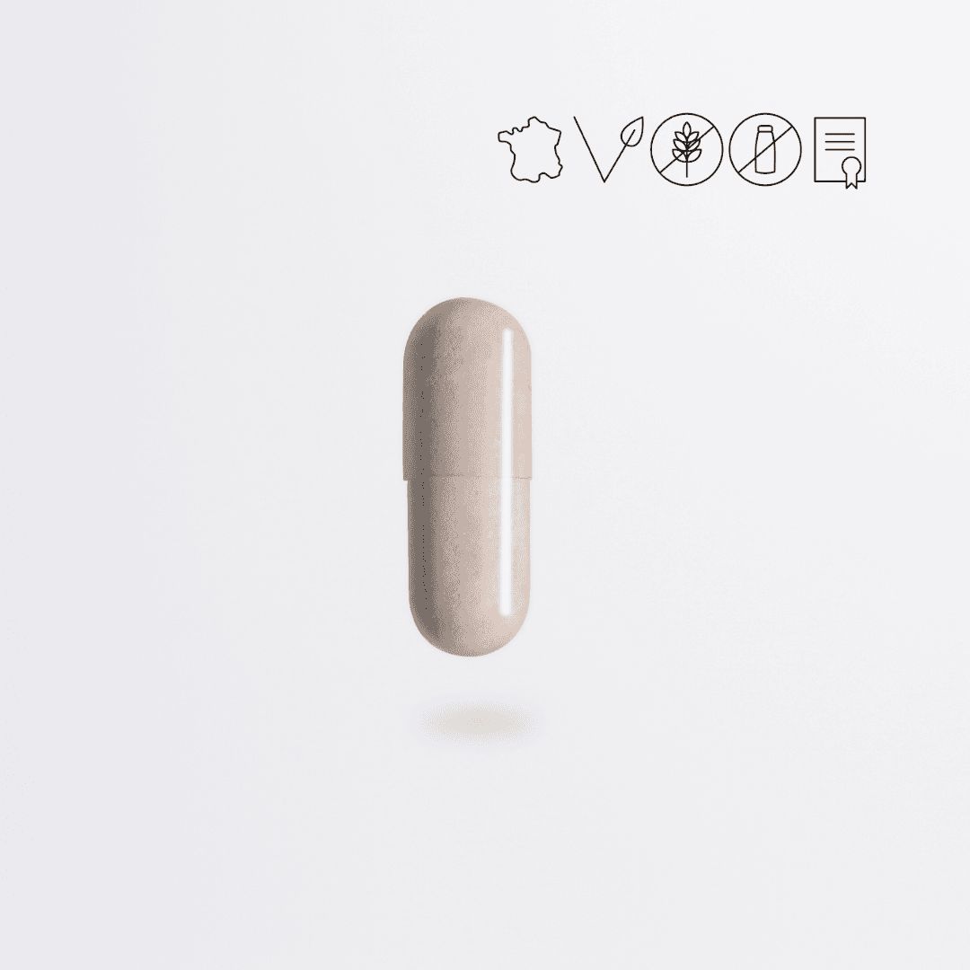 Enzymes Digestives #1