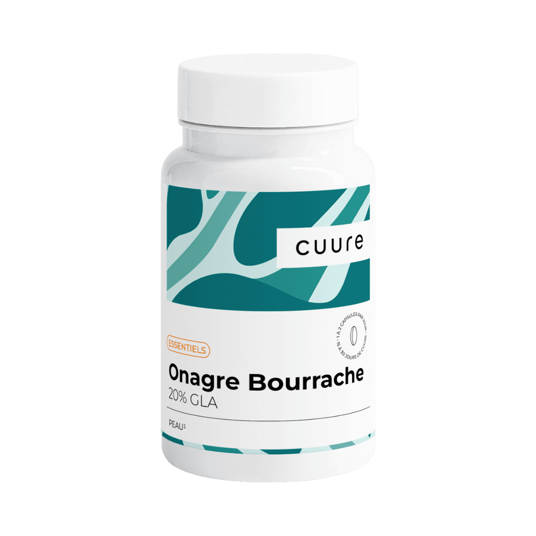 Nachtkerze Borretsch #1