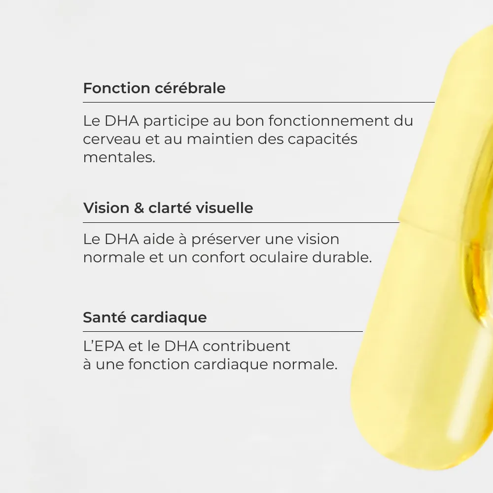 Les Incontournables #6