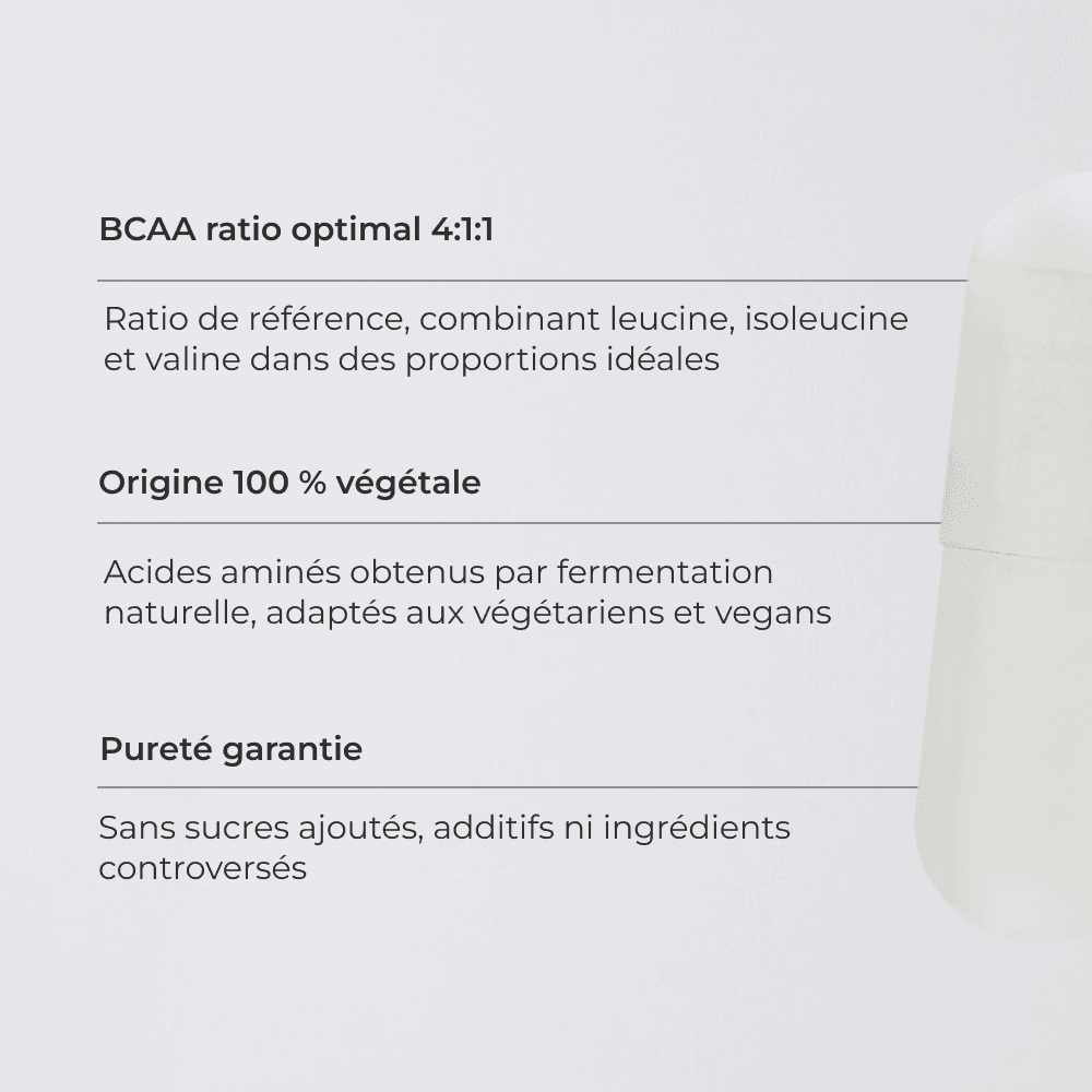 BCAA 4.1.1 #2