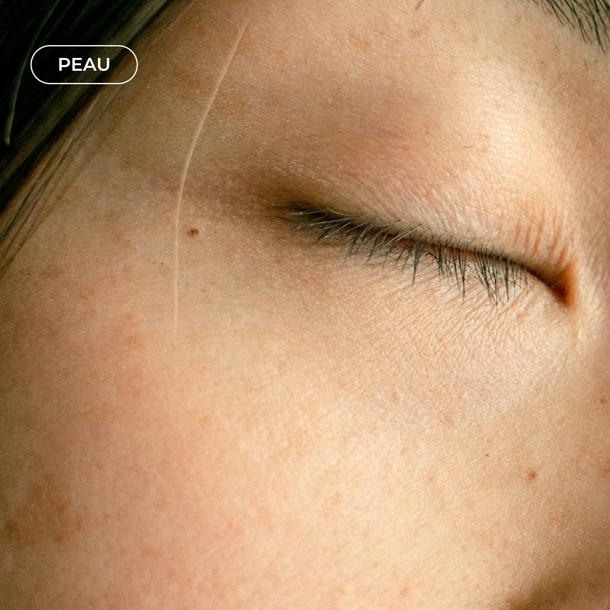 Complexe Collagène #3