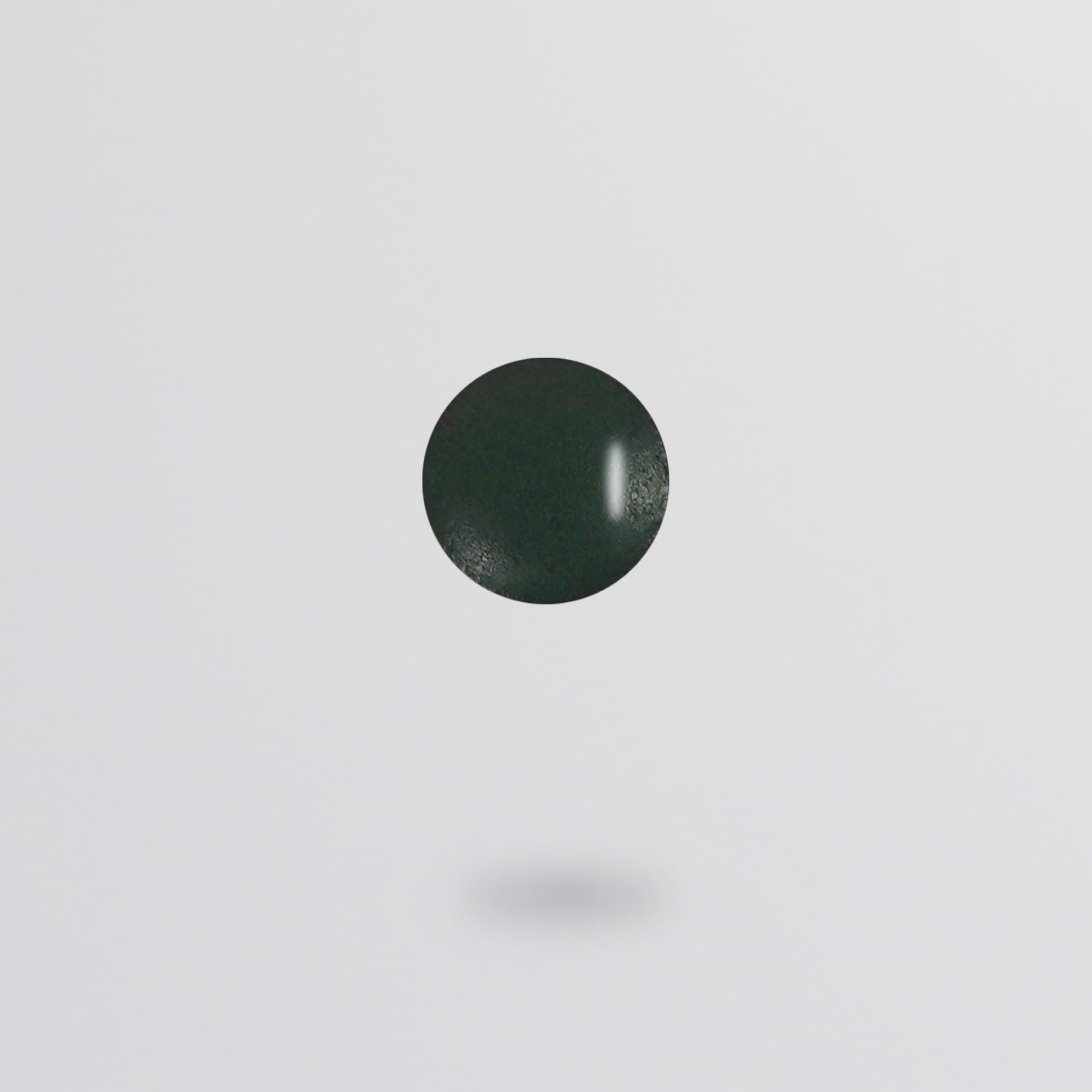 Spirulin #1