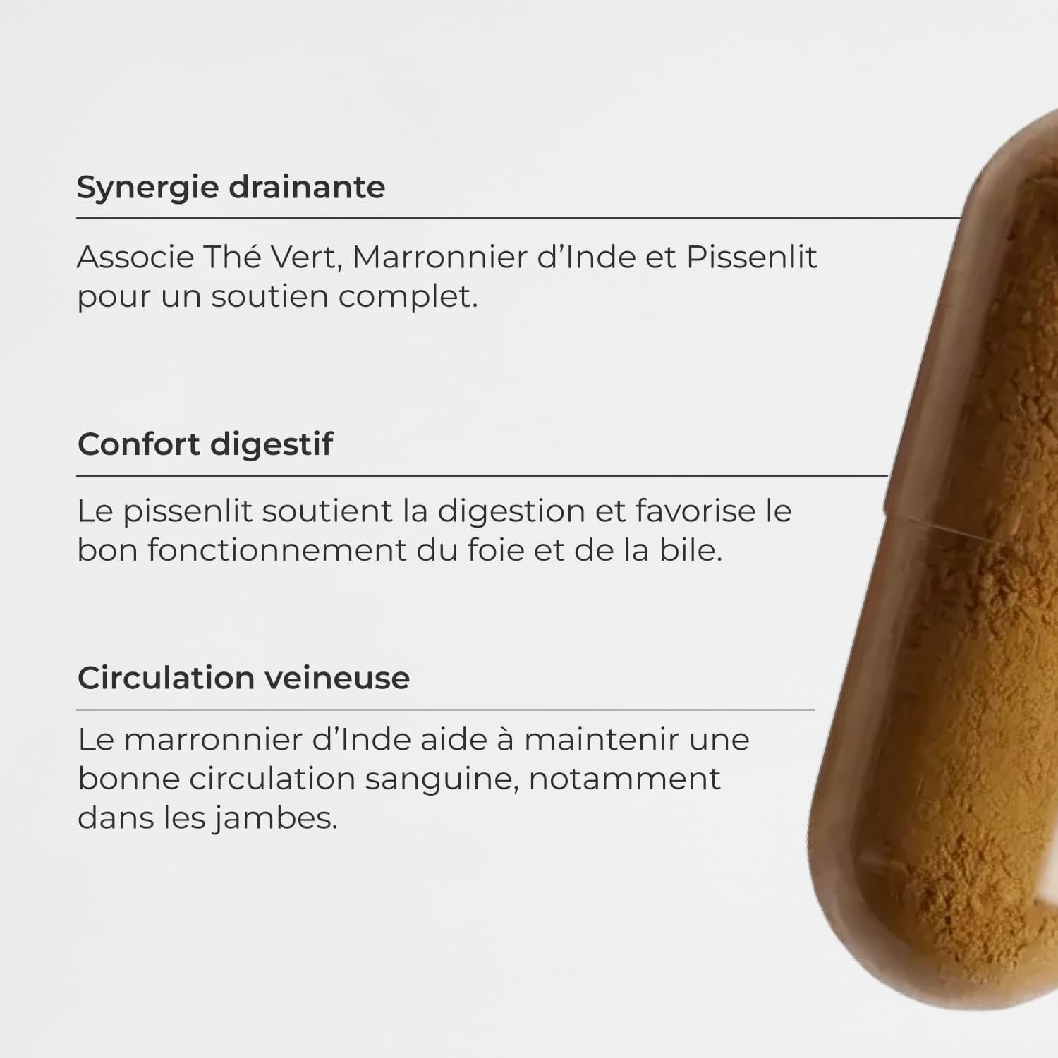 Complexe Drainant #4