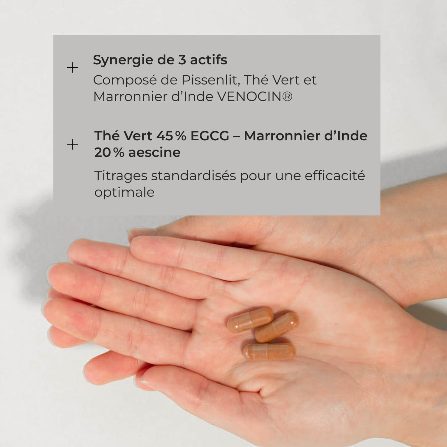 Complexe Drainant #1