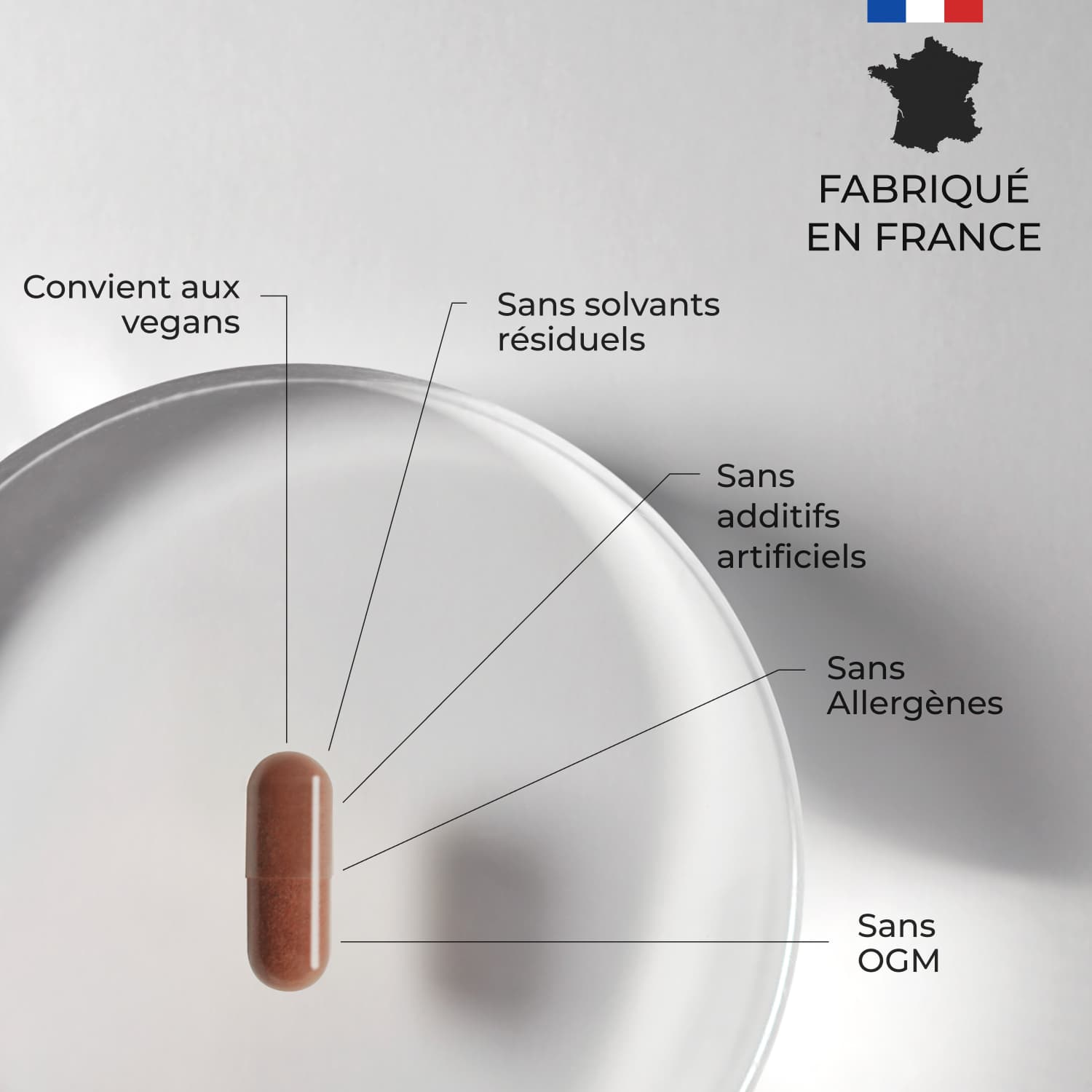 Complexe Drainant #6