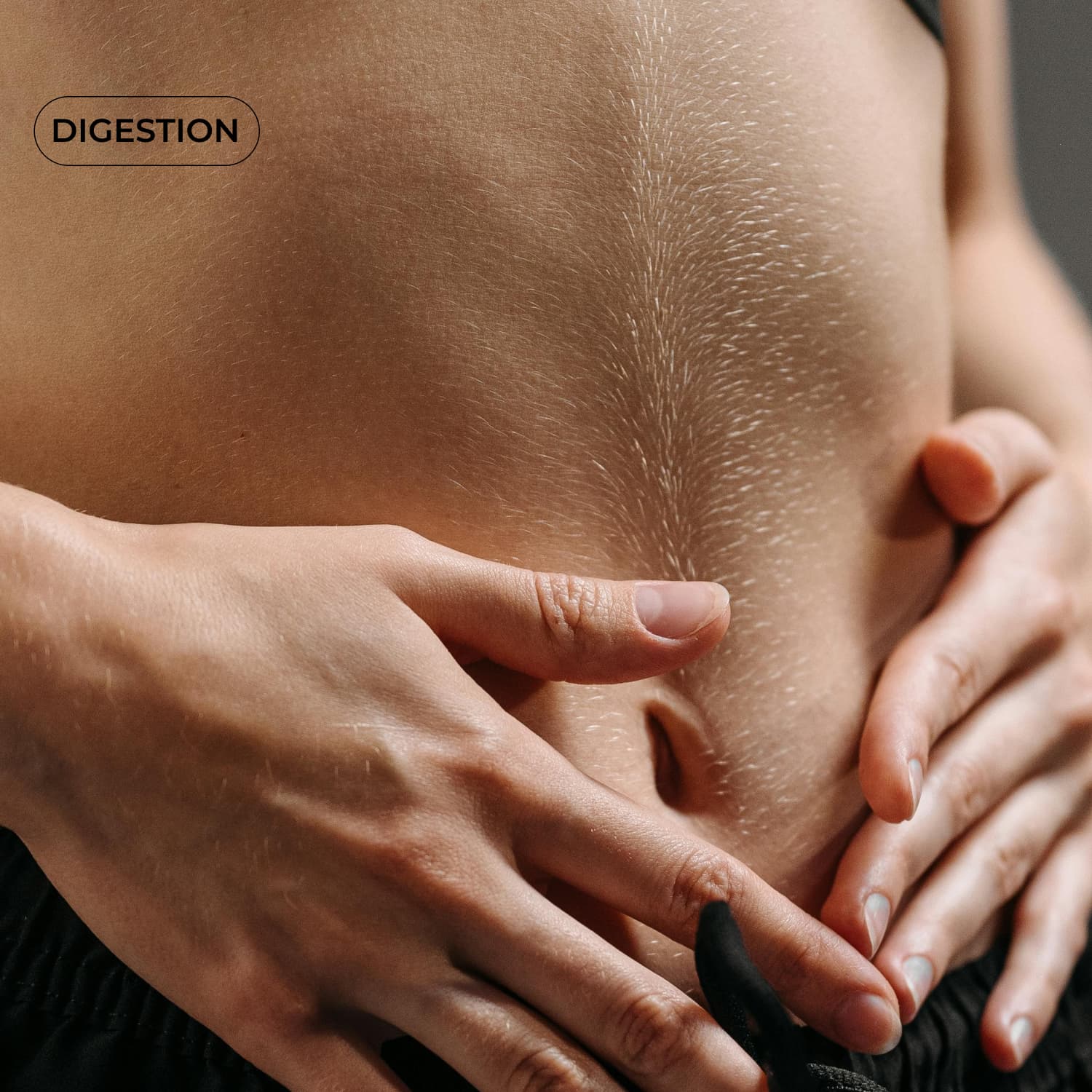 Complexe Drainant #3