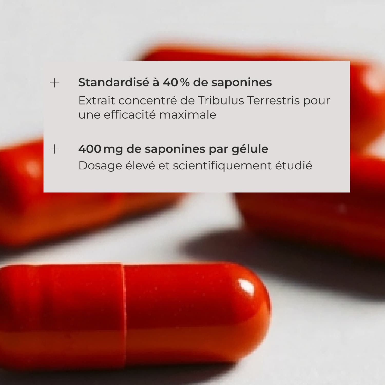 Tribulus Terrestris #4