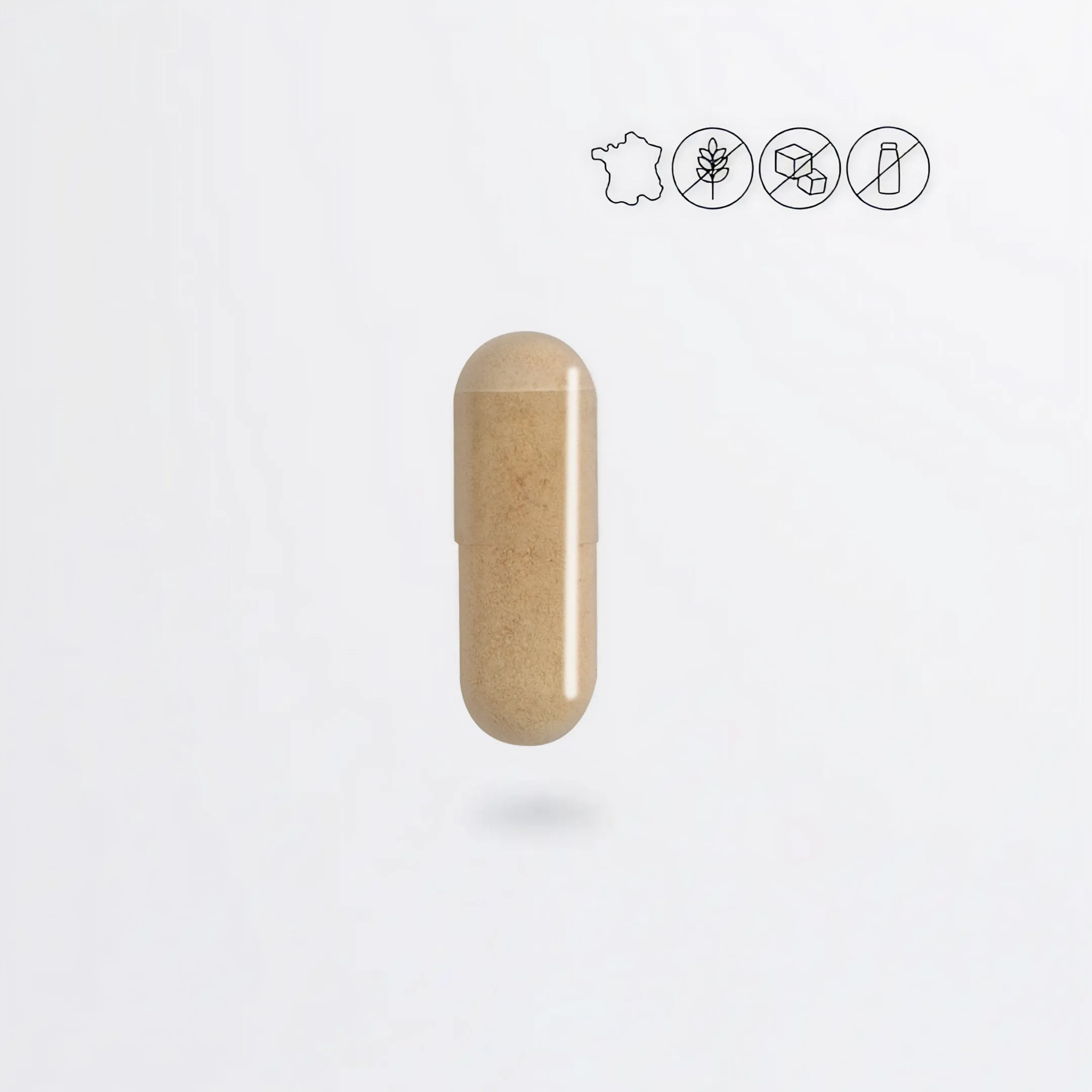 Complexe Maternité #2