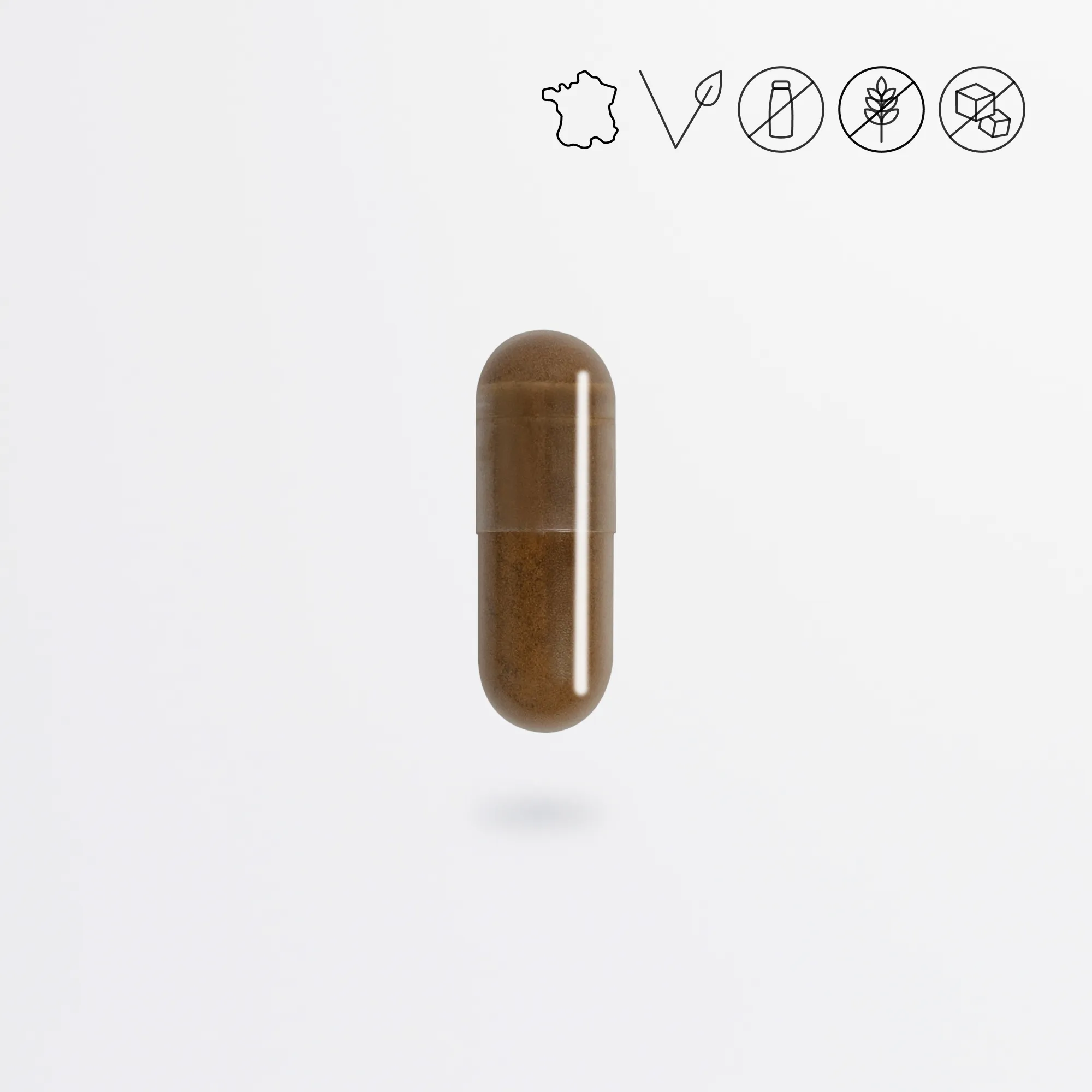 Complexe Anti-Cellulite #2