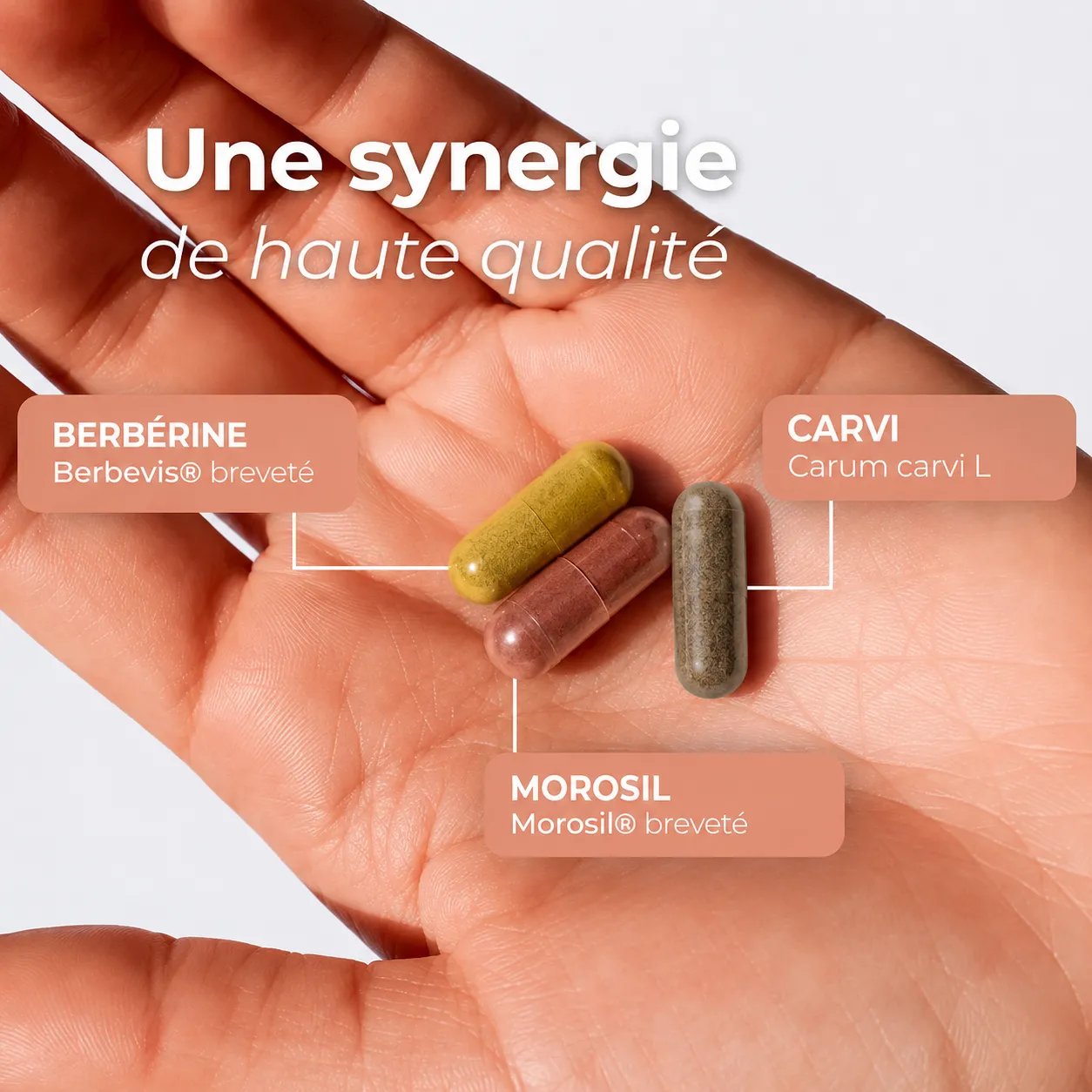 Pack Minceur #4