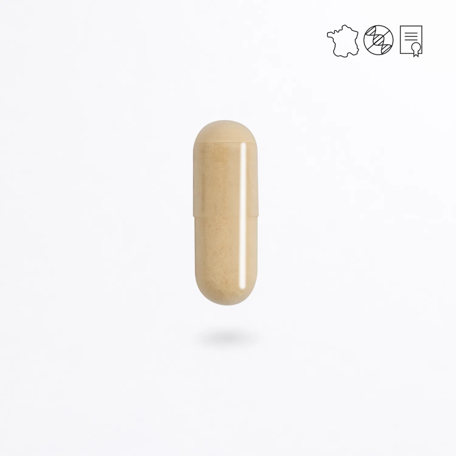 Coenzyme Q10 #1
