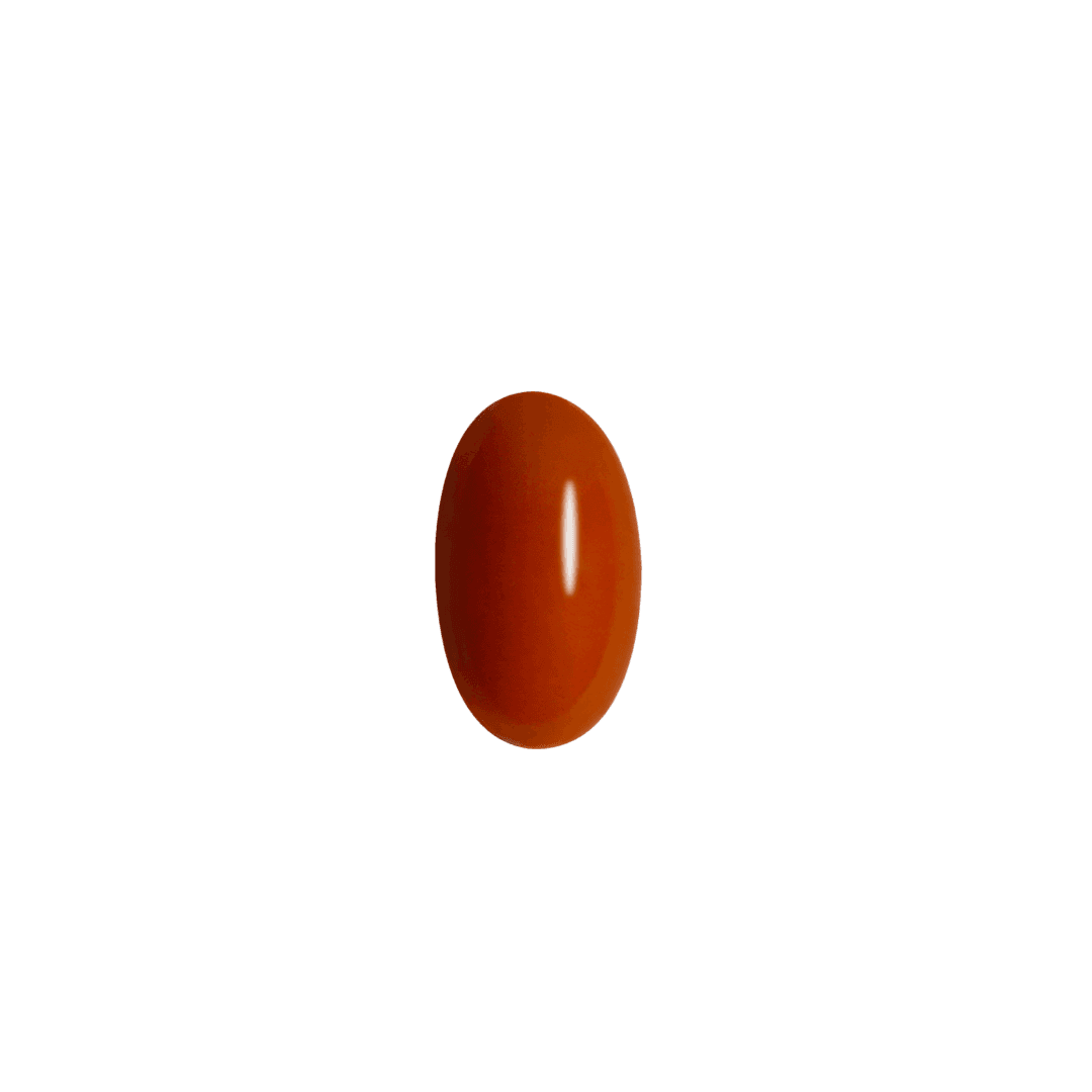 Sonnenkomplex