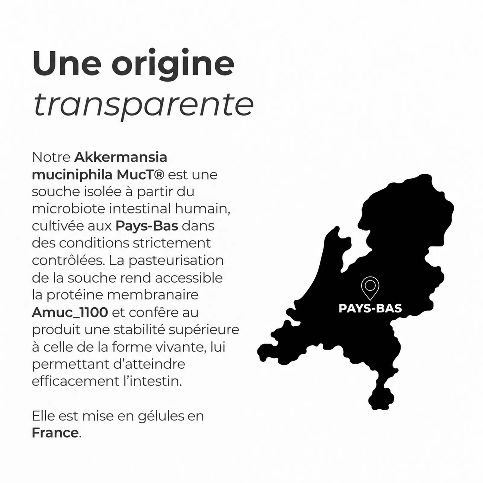 Akkermansia MucT® - Transparente Herkunft