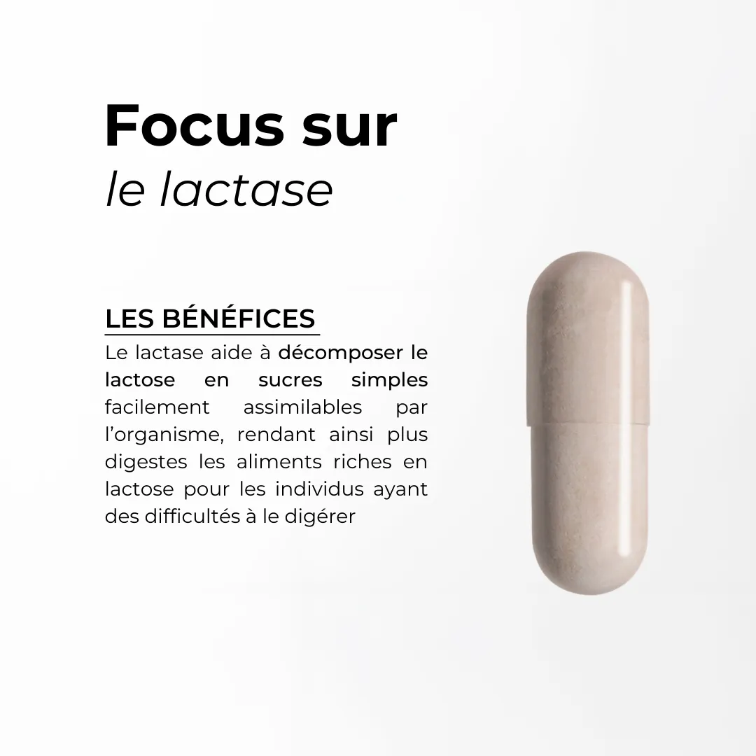 Mix d'enzymes Digezyme des Enzymes Digestives Cuure