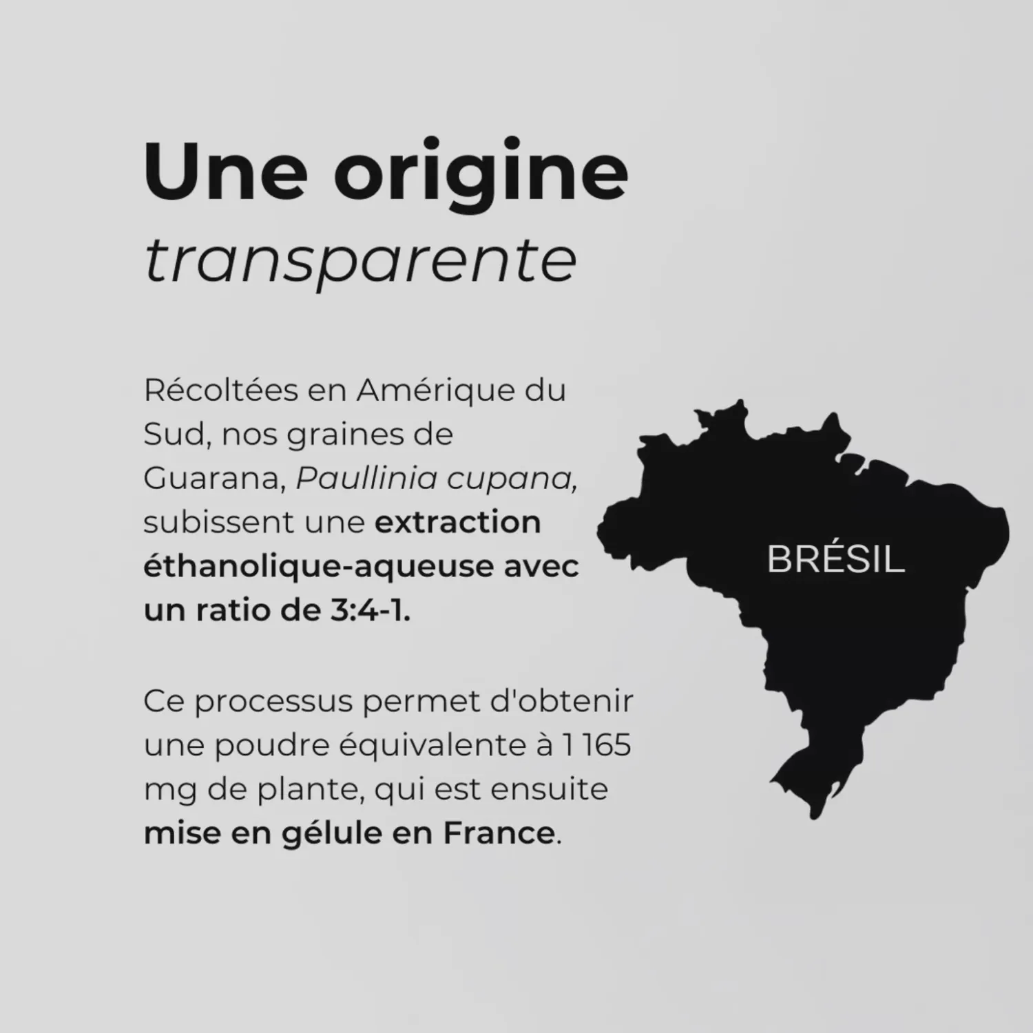 Origen del Guarana