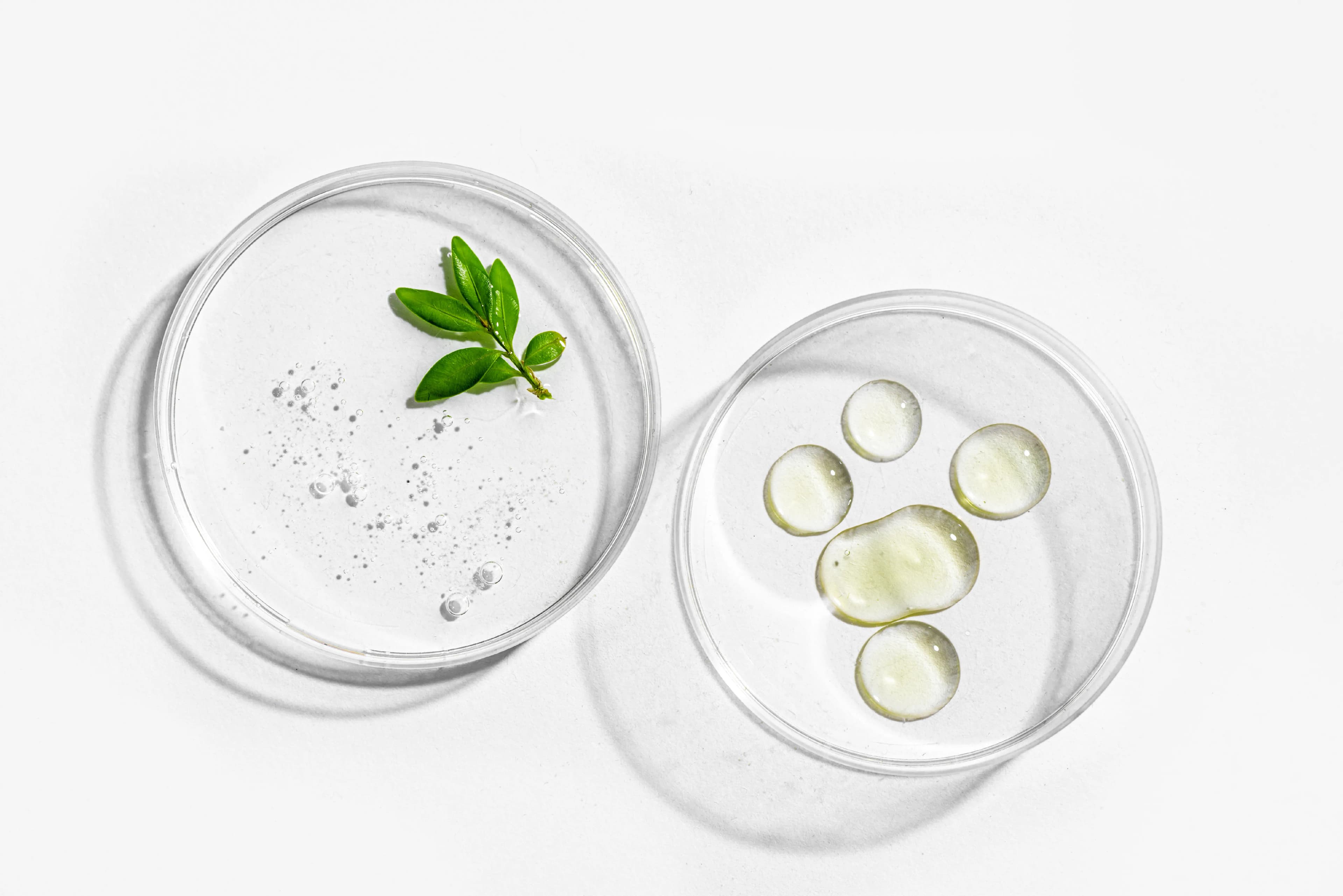 Inositol Cuure — fórmula en polvo